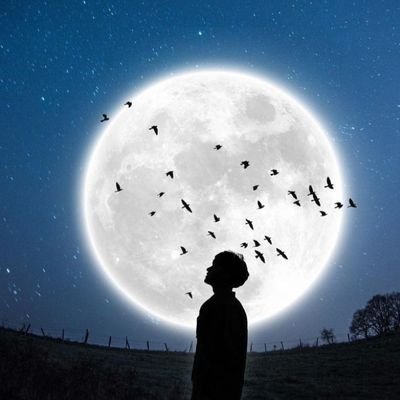 thomas_price56's profile picture