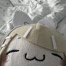 Ting's profile picture