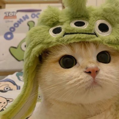 kimmybtw's profile picture