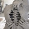 † 的头像