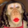 Profilbild von ladybonobo