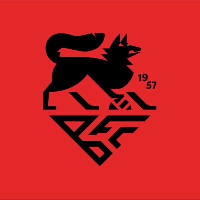 BrislingtonFC's profile picture