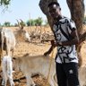 nioucouba ka's profile picture