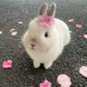 mbalaa 🦢 profil fotoğrafı