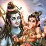 Profilbild von YOGESH kanwat (MEENA )