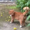 VeganForSecureBorders 的头像