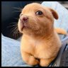 Kou22305's profile picture