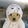 Cinnamon (Wojak/acc) profil fotoğrafı