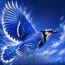 blue jays 的头像