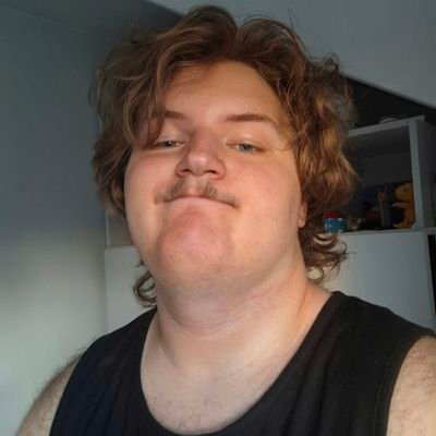 miloš's profile picture