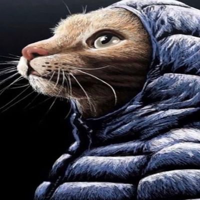 $B's profile picture