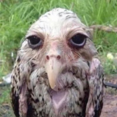 lore's profile picture