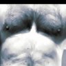 Stevo's profile picture
