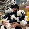 Profilbild von C9 Lou