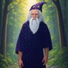 Miniwizard14 的头像