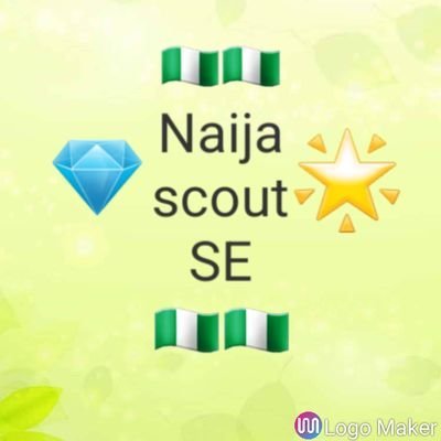 NaijascoutforSE's profile picture