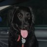 Mémé's profile picture