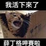 煌仙's profile picture