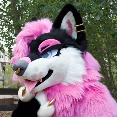 MalaSloot's profile picture