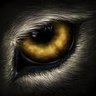 Orde Hayedid Wingate's profile picture