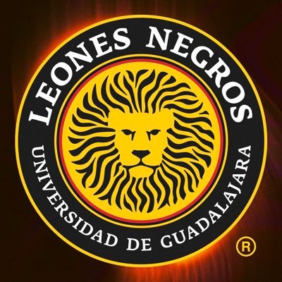 LeonesNegrosCF's profile picture