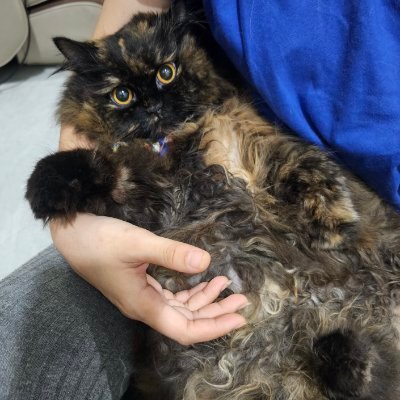 Coffee bae's profile picture