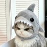 Profilbild von jess