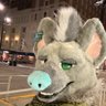 Lee's profile picture