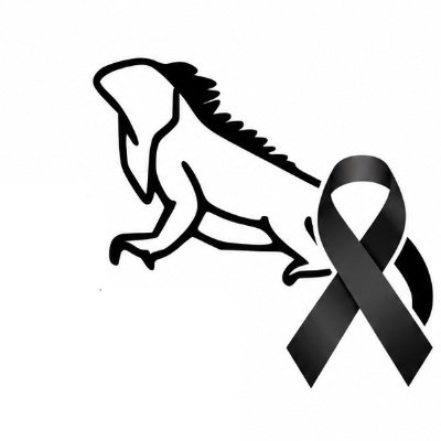 BitacoraEc's profile picture