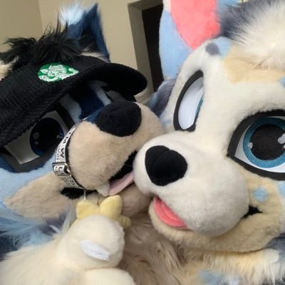 Pouncy N' Bouncy's profile picture