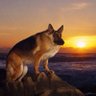 poxui (похуй) profil fotoğrafı