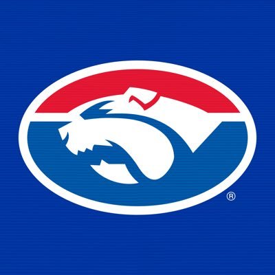Western Bulldogs's profile picture
