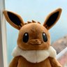 Profilbild von 芹