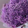 ناديه صالح profil fotoğrafı