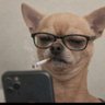 Profilbild von P_noodles
