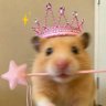 shani ᥫ᭡ִֶָ's profile picture