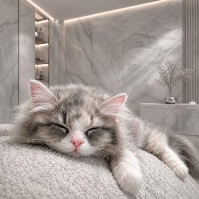 寝ず子ちゃん💤's profile picture