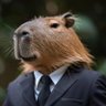SANDY's profile picture