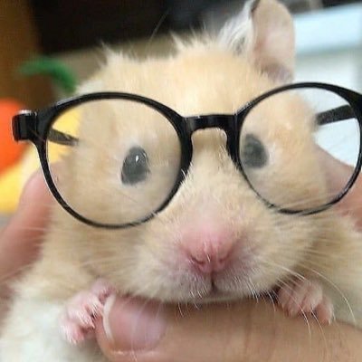 ropeitbyjin's profile picture