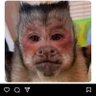 lilaX's profile picture
