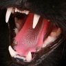 teigan ⋆˙⟡ profil fotoğrafı