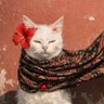 aica 🌷 profil fotoğrafı
