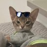Profilbild von Anna