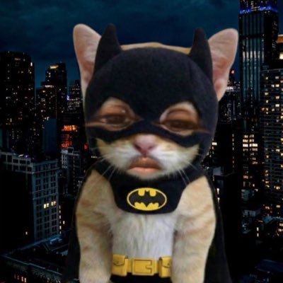 KINGFARISZAKI's profile picture