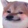 juicygoated 🇨🇦's profile picture
