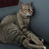 nak's profile picture
