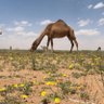 Фото профиля وبال