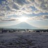 Фото профиля ノイエール☃️
