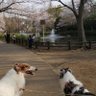 Фото профиля ゆのり