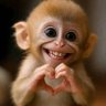أبومصعب's profile picture